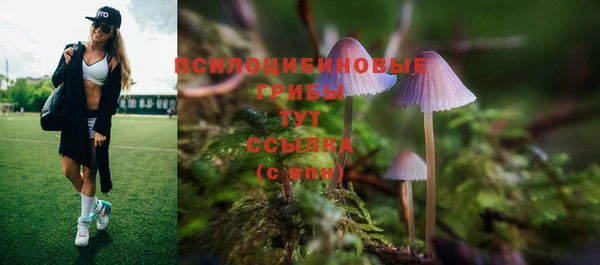 прущая мука Абаза