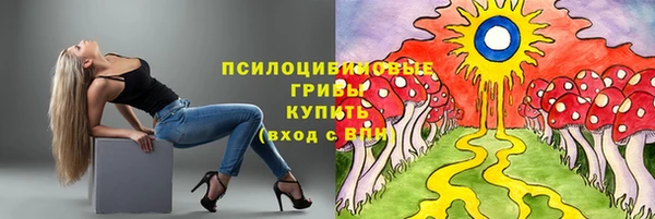 прущая мука Абаза