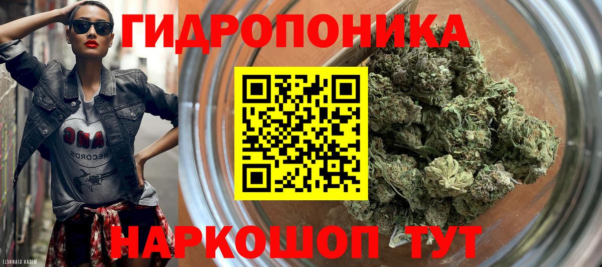 Каннабис конопля Новотроицк